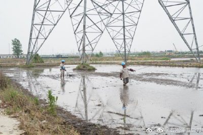 架設線路、安裝電纜引下線，解決農民秸稈焚燒問題