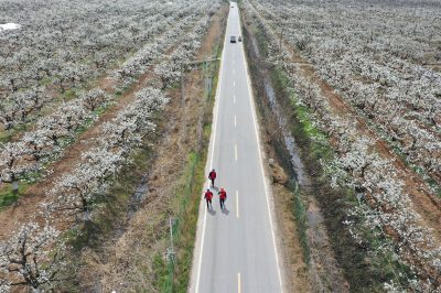安徽碭山：電靚“梨花節”