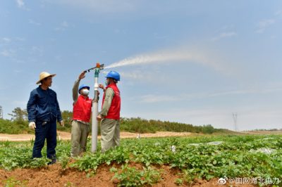 采用電氣化噴灌，節能又增收