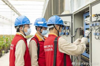 為大棚電力線路、電氣化設備進行縝密排查和整改消缺