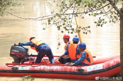 國網臨沭縣供電公司對故障線路進行搶修，及時消除線路故障