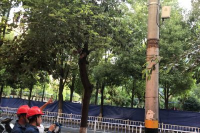 對城區114市區1線進行帶電檢測工作